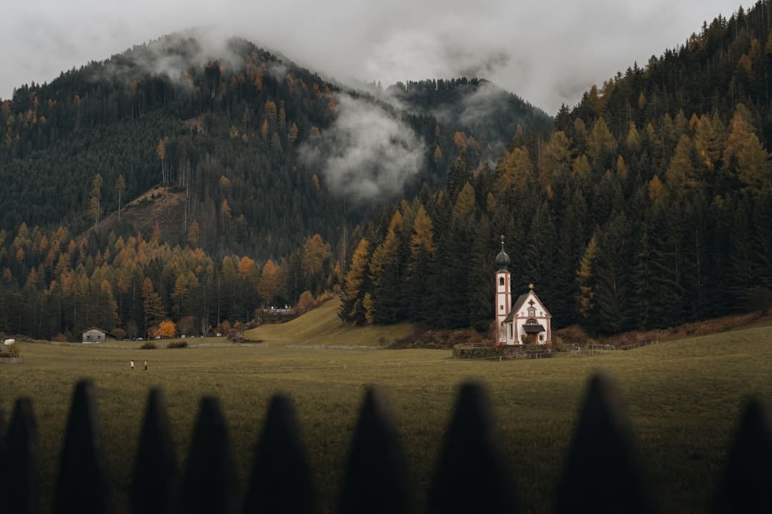 https://img2.utuku.imgcdc.com/650x0/ent/20250809/d2af72f9-7240-413c-9478-9d980cc13eca.jpg
